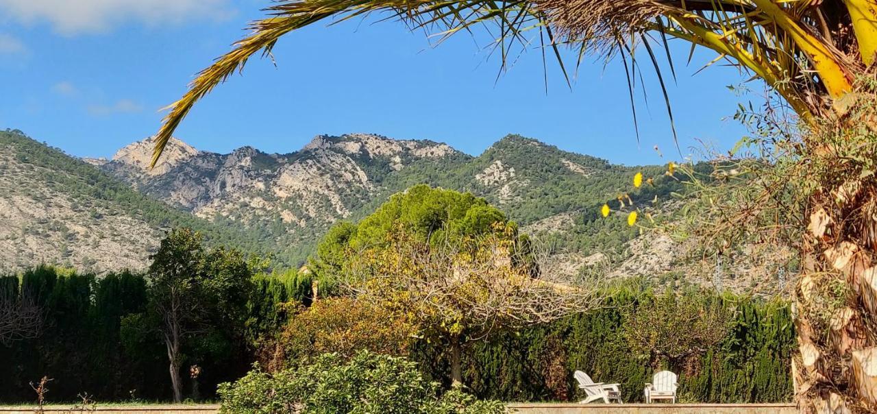 Casa De Los Lirios Muro de Alcoy Bagian luar foto